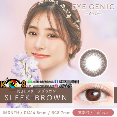 N01 EYEGENIC SleekBrown アイジェニック スリークブラウン N01 EYEGENIC SleekBrown アイジェニック スリークブラウン